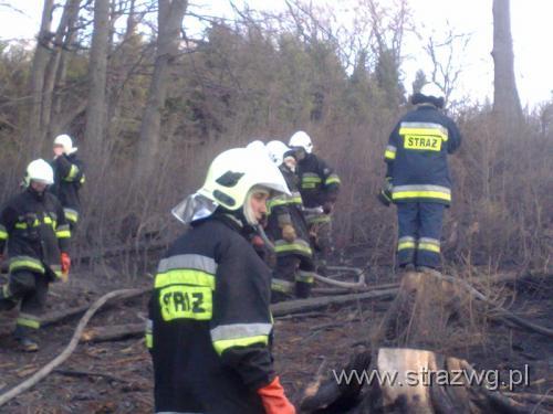 ¯abnica 27.04