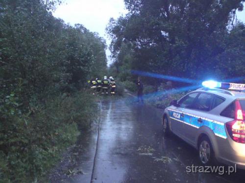 Powód¼