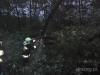 dsc00278_t1.jpg