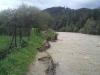 dsc00305_t1.jpg