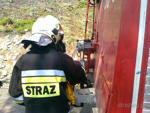 Po¿ar poszycia le¶nego