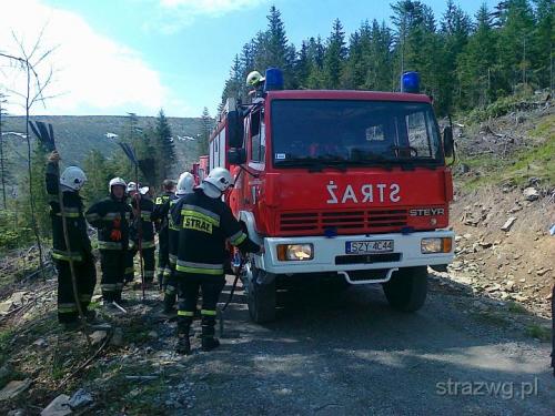 Po¿ar poszycia le¶nego