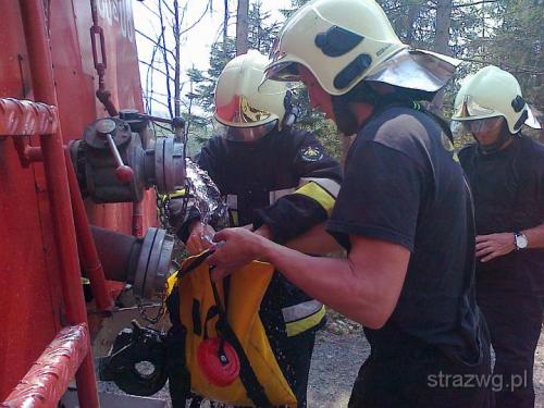 Po¿ar poszycia le¶nego