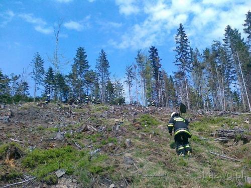 Po¿ar poszycia le¶nego