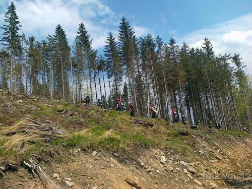 Po¿ar poszycia le¶nego