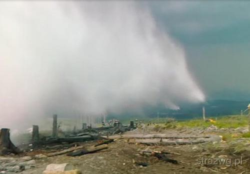 Po¿ar poszycia le¶nego